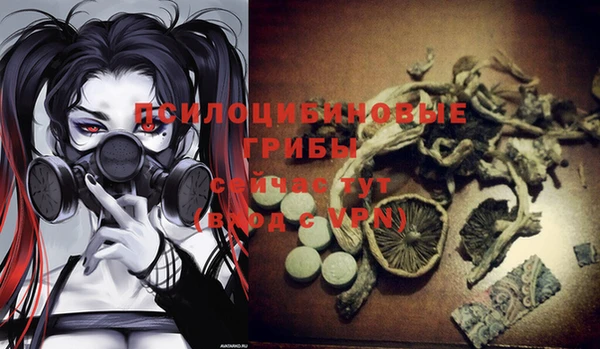 первитин Арсеньев