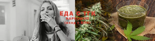 крисы Аркадак