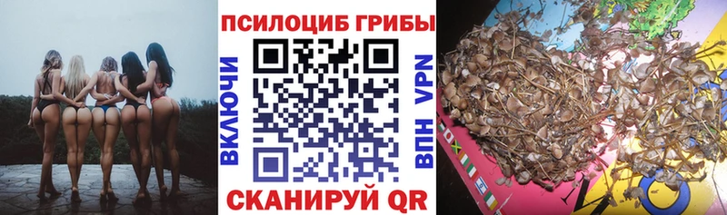 Галлюциногенные грибы мухоморы  где продают наркотики  Балтийск 